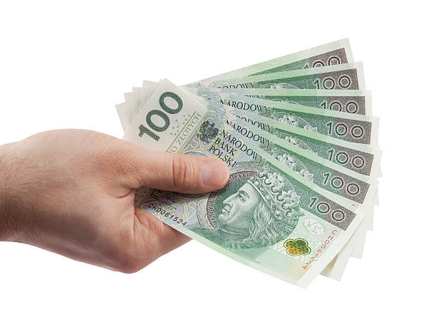 istock Polish money in hand with clipping path 522333860