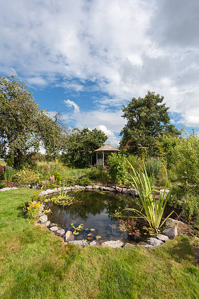 istock Walk path in garden decorated with wooden stumps 522333962