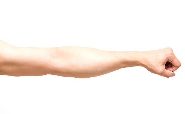 istock Arm in fist action on white background 522333981