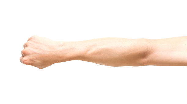 istock Arm in fist action on white background 522333987