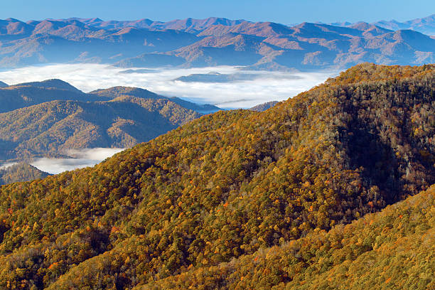 istock Fall View From The Blue Ridge Parkway In North Carolina 522334023