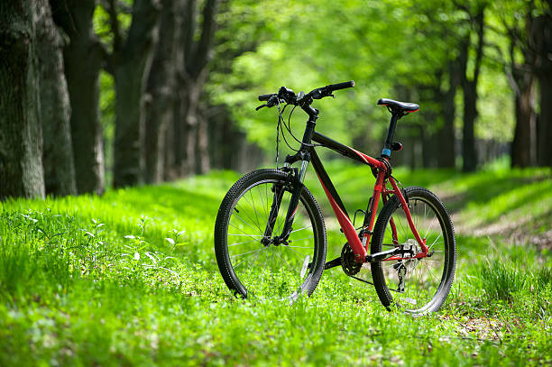 mountain bike on the trail in the beautiful green summer forest. sport lifestyle concept.