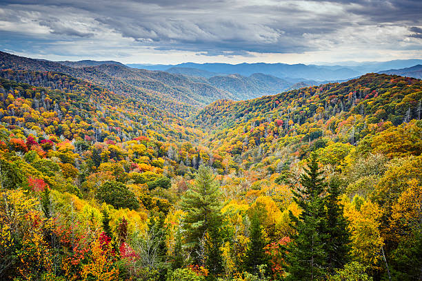 smoky mountains national park - newfound gap stock-fotos und bilder