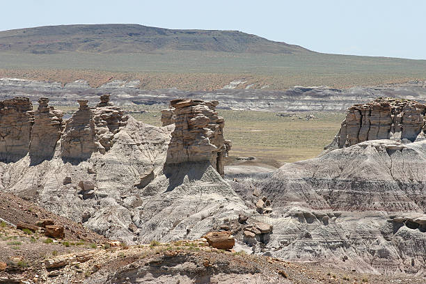 istock Petrified Wood and Rock Formations 522336531