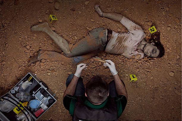 csi oficial da recolha de provas mulher vítima - crime scene imagens e fotografias de stock