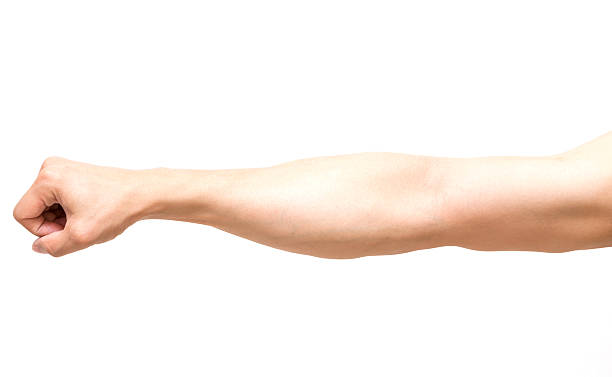 istock Arm in fist action on white background 522344097
