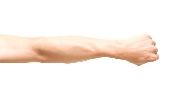 istock Arm in fist action on white background 522344105