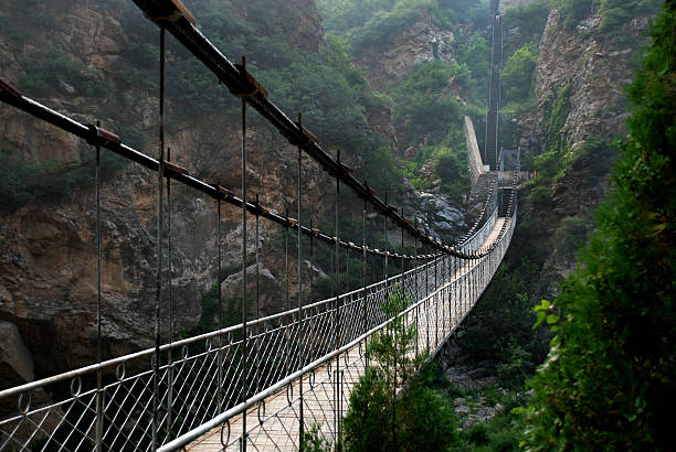 Suspension bridge in nature