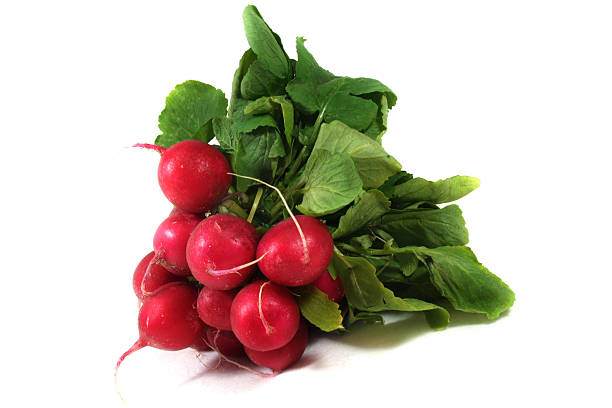 istock bunch of radishes 522347107