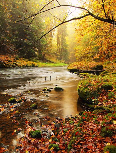 istock Magical colorful autumn at mountain river. 522353805