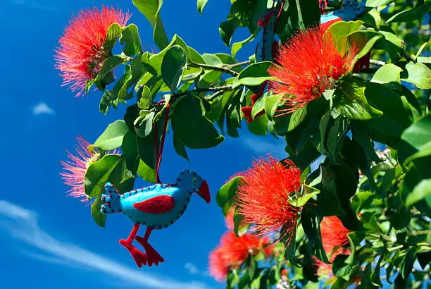 Photo of Pohutakawa Tree & a Pukekeo Christmas Decoration, New Zealand