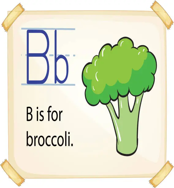 Vector illustration of Alphabet B