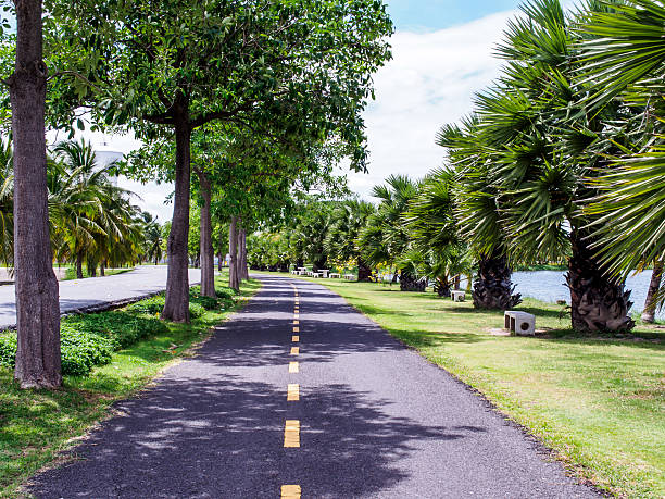 istock Running, Jogging, Walking, Cycling  track in a tropical park 522359849