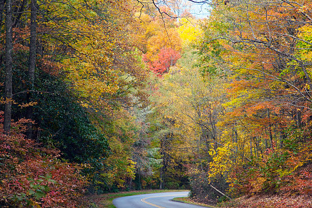 istock Fall Colors On The Blue Ridge Parkway In North Carolina 522360297