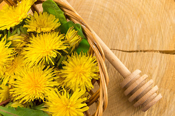istock Yellow dandelions on wooden background 522368536