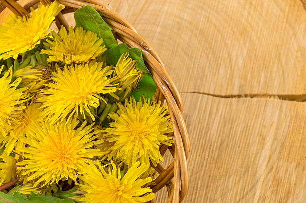 istock Yellow dandelions on wooden background 522368596