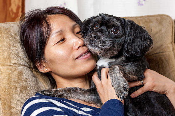 istock Tender moment between woman and small dog. 522371728