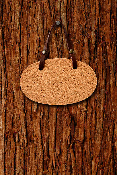 close-up of 나무줄기 매달기 빈 corkboard 팻말 - closed sign hanging string 뉴스 사진 이미지