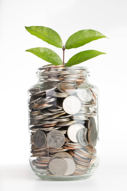 istock Deposit your budget 522378011