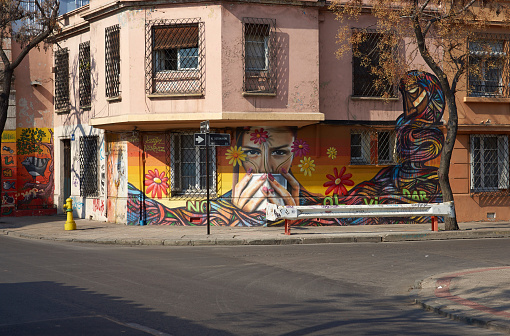 Santiago, Сhile - August 12, 2014: Colourful murals decorating the streets of Barrio Yungay in Santiago, capital of Chile. Murals are common in many urban areas of Chile and are often used as a means of expressing political views.