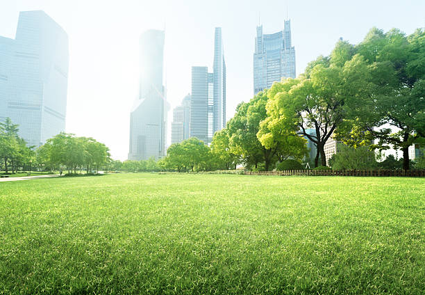 istock park in  lujiazui financial centre, Shanghai, China 522379955