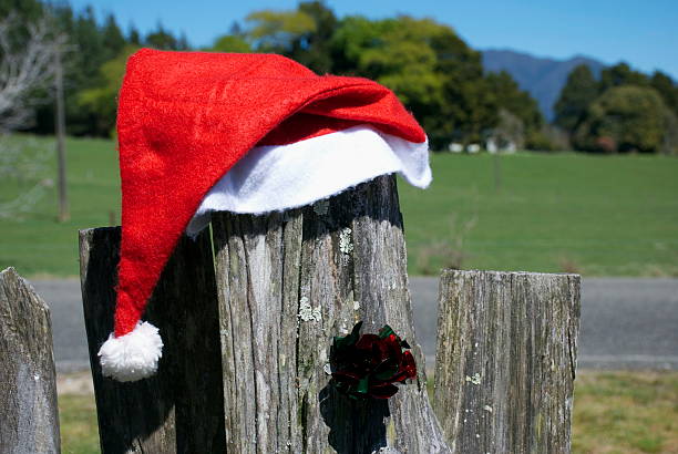 istock Kiwiana Christmas Themed Image 522380294