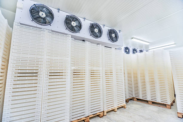 istock Inside of Big Industrial Refrigerator Storage at -30 Celcius 522381897