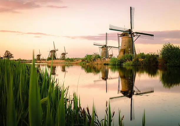 A collection of 18th Century traditional Dutch windmills reflected in water at sunrise, at Kinderdijk in South Holland.
