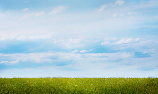 istock beautiful sky and green glade 522382973