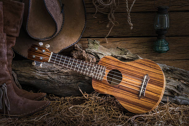 stillleben mit ukulele in cowboy-hut und schuhe - wild west audio stock-fotos und bilder