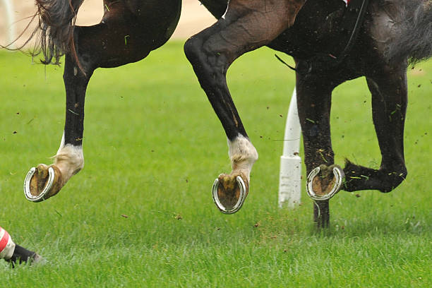 istock Horse racing action 522386646