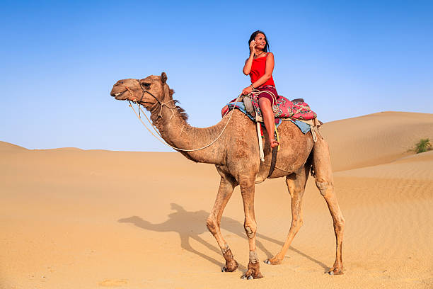 istock Young woman using mobile on a camel, Rajasthan, India 522387752