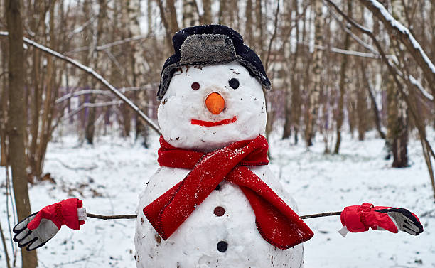 istock Snowman wearing hat with ear flaps and skarf 522388204