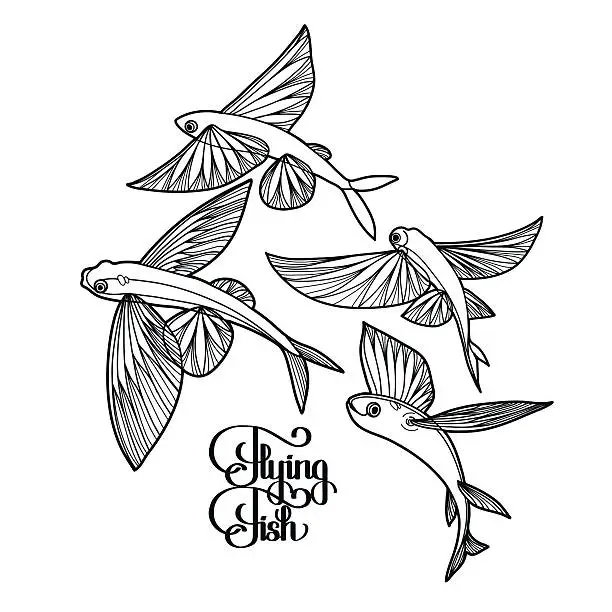 Flying Fish Bitmap Free flying fish Vector Images & Graphics | FreeImages