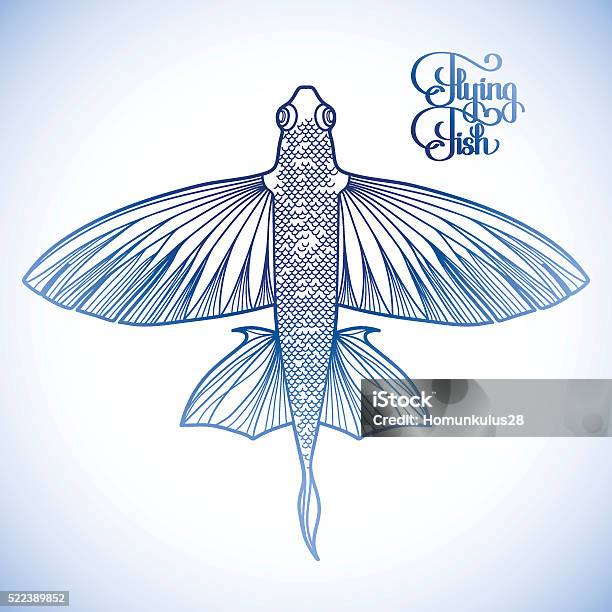 Graphic Flying Fish Stock Illustration - Download Image Now - Flying Fish, Vector, Adriatic Sea