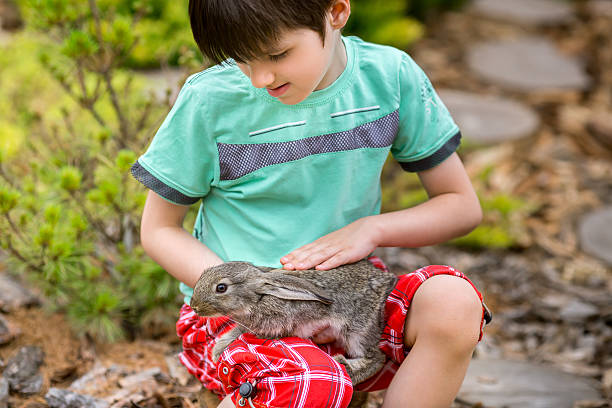 istock Rabbit is Beautiful animal of Nature 522391918