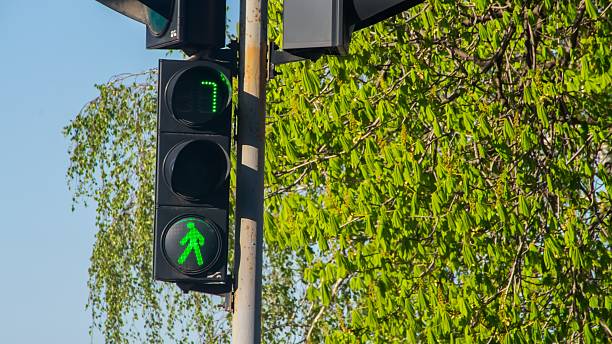 istock Traffic lights with the green light lit 522393724