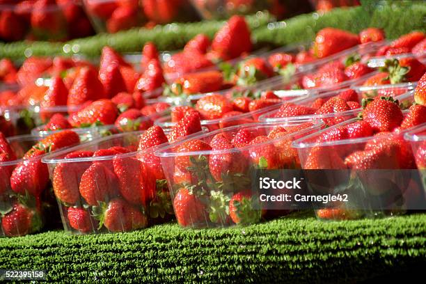 Strawberries Stock Photo - Download Image Now - Wimbledon, Strawberry, Tennis