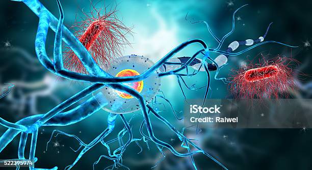 Photo libre de droit de 3 D Illustration De Cellules Nerveuses Et Virus banque d'images et plus d'images libres de droit de Sclérose en plaques - Sclérose en plaques, Auto-immunité, Système immunitaire