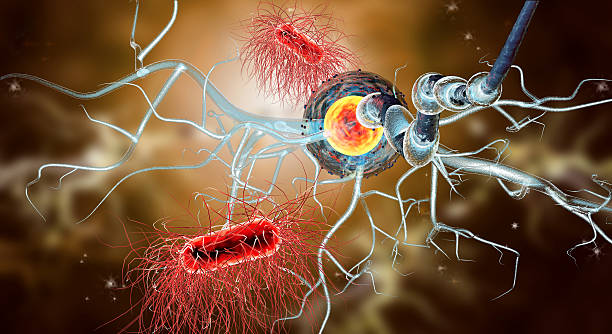 istock 3d illustration of nerve cells and viruses 522396052