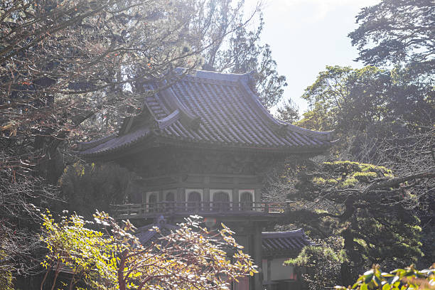 istock Japanese Tea Garden in San Francisco 522396882