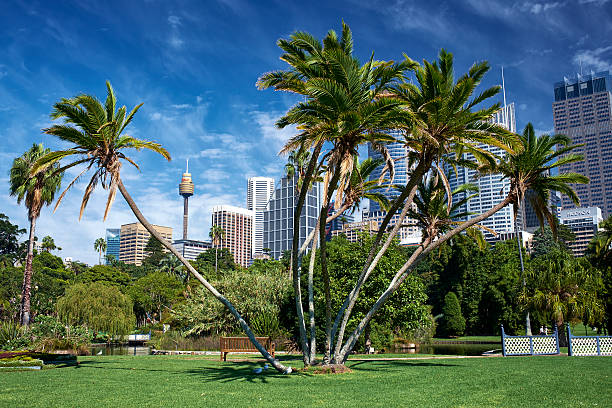 istock Royal Botanic Gardens In Sydney 522397584