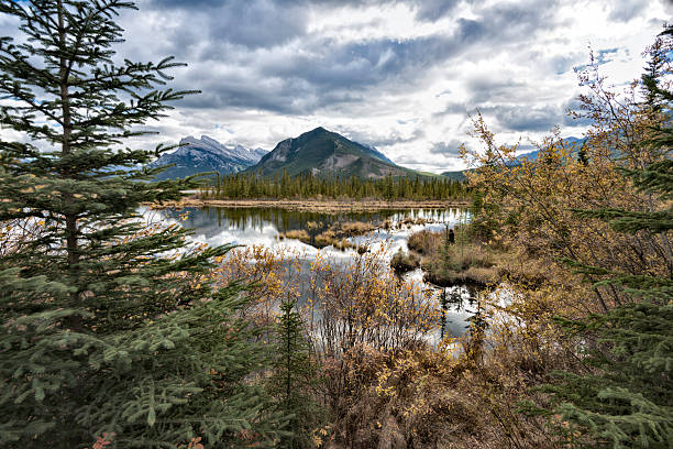 istock Vermilion Lakes and Mount Rundle 522397753