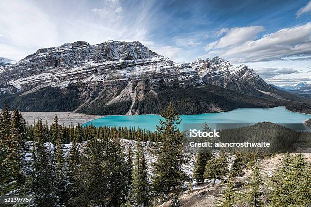 Peyto Lake Panoramic Stock Photo - Download Image Now - Alberta, Banff, Banff National Park