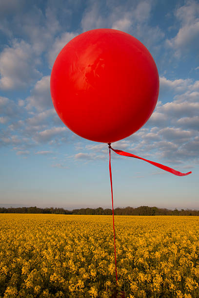 istock Red balloon on canola field 522397790