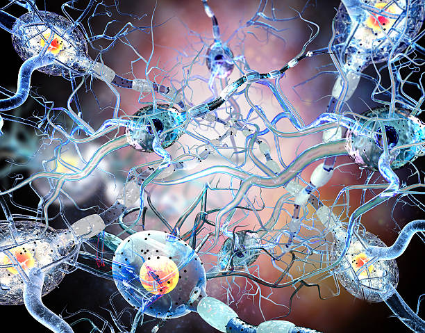 istock 3d illustration of nerve cells 522397996