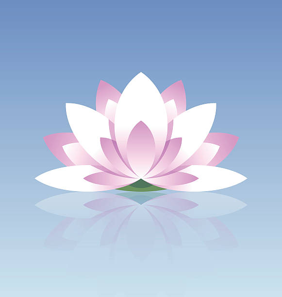 kwiat lotosu ikona - summer flower head macro backgrounds stock illustrations