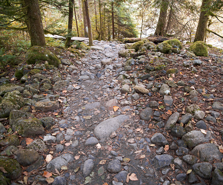 Stone path in autumn forest