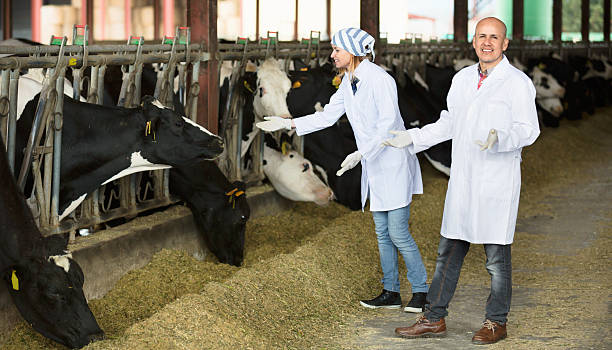 istock Professional  workers in white gown taking care 522401158