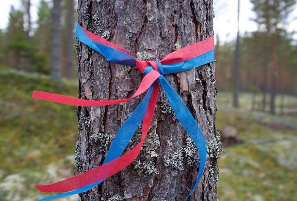 istock Red and Blue Ribbon Around a Tree 522402329
